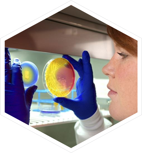 Genómica Estructural y Biotecnología, antibioticos